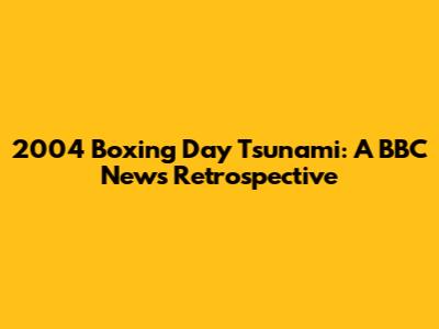 2004 Boxing Day Tsunami: A BBC News Retrospective