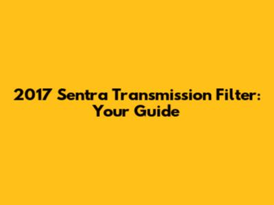 2017 Sentra Transmission Filter: Your Guide