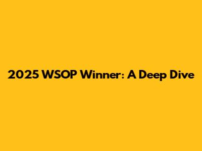 2025 WSOP Winner: A Deep Dive