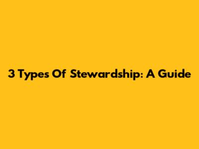 3 Types Of Stewardship: A Guide