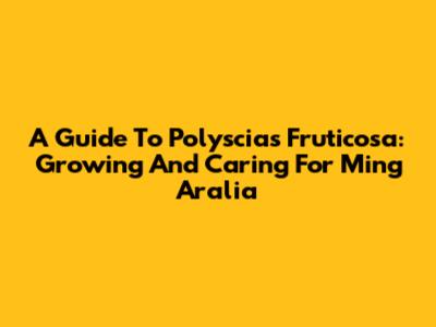 A Guide To Polyscias Fruticosa: Growing And Caring For Ming Aralia