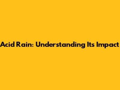 Acid Rain: Understanding Its Impact