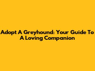 Adopt A Greyhound: Your Guide To A Loving Companion