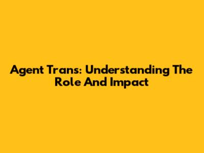 Agent Trans: Understanding The Role And Impact