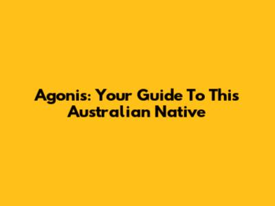 Agonis: Your Guide To This Australian Native
