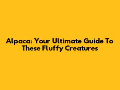 Alpaca: Your Ultimate Guide To These Fluffy Creatures