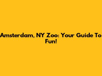 Amsterdam, NY Zoo: Your Guide To Fun!