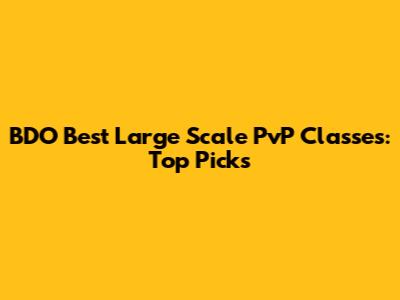 BDO Best Large Scale PvP Classes: Top Picks