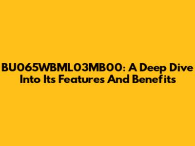 BU065WBML03MB00: A Deep Dive Into Its Features And Benefits