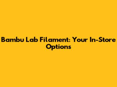 Bambu Lab Filament: Your In-Store Options