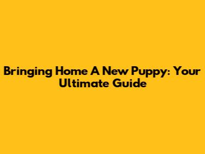 Bringing Home A New Puppy: Your Ultimate Guide