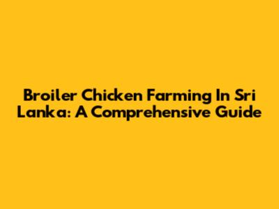 Broiler Chicken Farming In Sri Lanka: A Comprehensive Guide