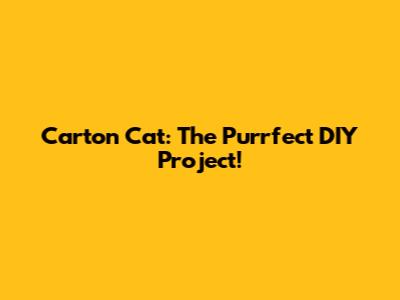 Carton Cat: The Purrfect DIY Project!