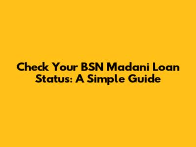 Check Your BSN Madani Loan Status: A Simple Guide