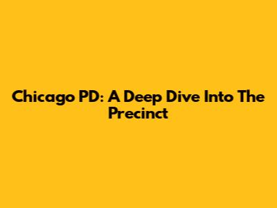 Chicago PD: A Deep Dive Into The Precinct