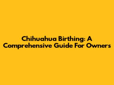 Chihuahua Birthing: A Comprehensive Guide For Owners