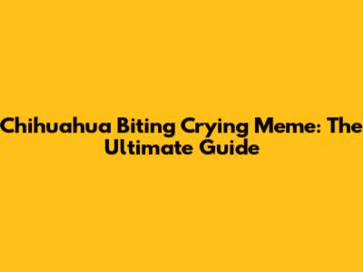 Chihuahua Biting Crying Meme: The Ultimate Guide