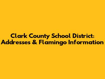 Clark County School District: Addresses & Flamingo Information