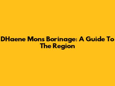 D'Haene Mons Borinage: A Guide To The Region