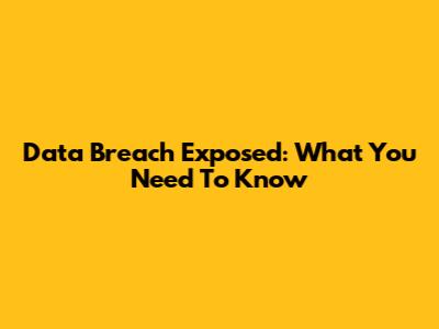 Data Breach Exposed: What You Need To Know