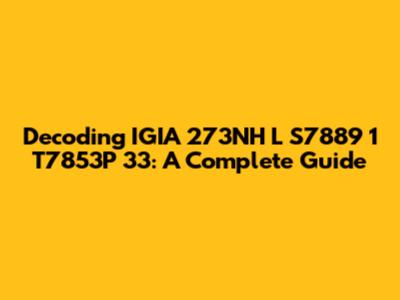 Decoding IGIA 273NH L S7889 1 T7853P 33: A Complete Guide