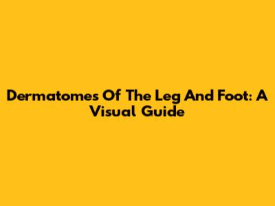 Dermatomes Of The Leg And Foot: A Visual Guide