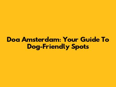 Doa Amsterdam: Your Guide To Dog-Friendly Spots