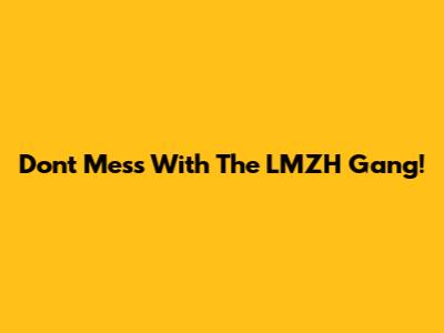 Don't Mess With The LMZH Gang!