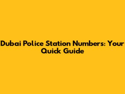 Dubai Police Station Numbers: Your Quick Guide