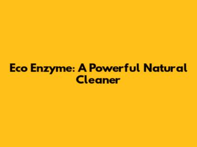 Eco Enzyme: A Powerful Natural Cleaner