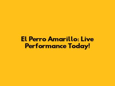 El Perro Amarillo: Live Performance Today!