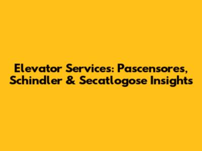 Elevator Services: Pascensores, Schindler & Secatlogose Insights