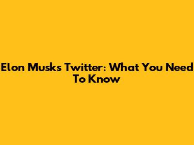 Elon Musk's Twitter: What You Need To Know