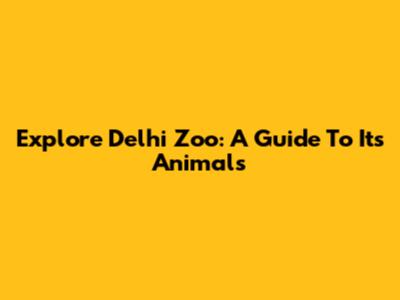 Explore Delhi Zoo: A Guide To Its Animals