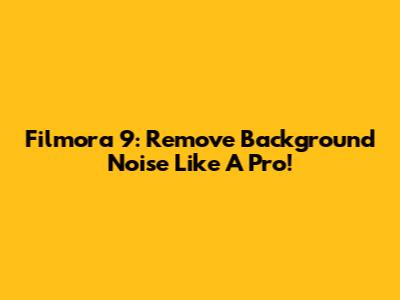 Filmora 9: Remove Background Noise Like A Pro!