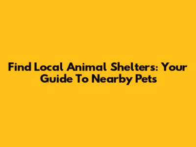 Find Local Animal Shelters: Your Guide To Nearby Pets