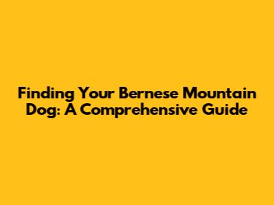 Finding Your Bernese Mountain Dog: A Comprehensive Guide