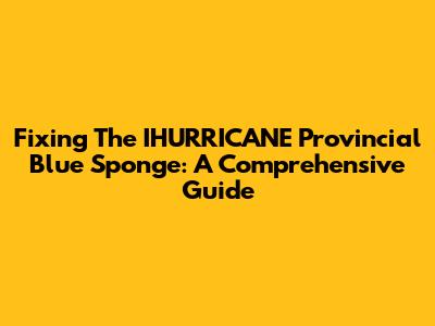 Fixing The IHURRICANE Provincial Blue Sponge: A Comprehensive Guide