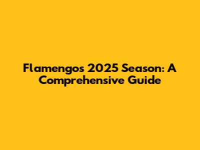 Flamengo's 2025 Season: A Comprehensive Guide