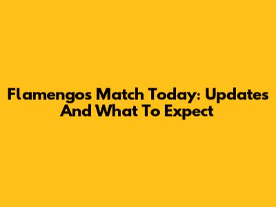 Flamengo's Match Today: Updates And What To Expect