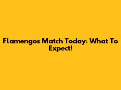 Flamengo's Match Today: What To Expect!