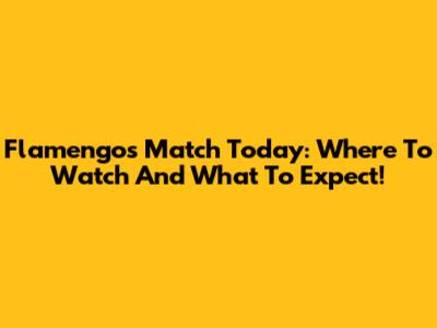 Flamengo's Match Today: Where To Watch And What To Expect!