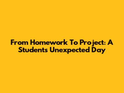 From Homework To Project: A Student's Unexpected Day