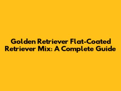 Golden Retriever Flat-Coated Retriever Mix: A Complete Guide