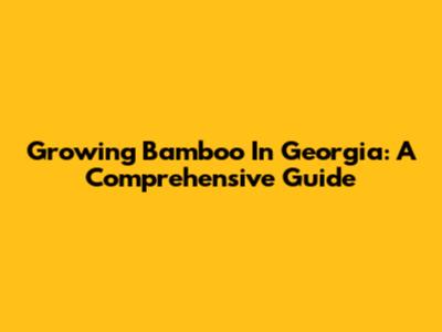 Growing Bamboo In Georgia: A Comprehensive Guide