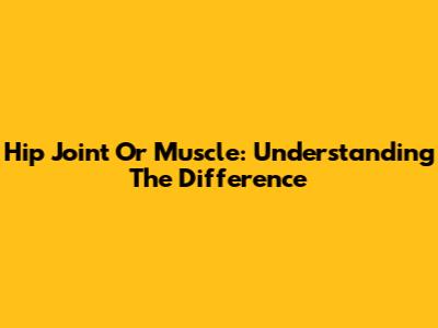 Hip Joint Or Muscle: Understanding The Difference