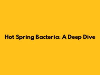 Hot Spring Bacteria: A Deep Dive