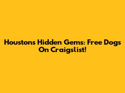 Houston's Hidden Gems: Free Dogs On Craigslist!