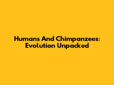 Humans And Chimpanzees: Evolution Unpacked