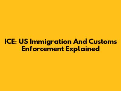 ICE: US Immigration And Customs Enforcement Explained